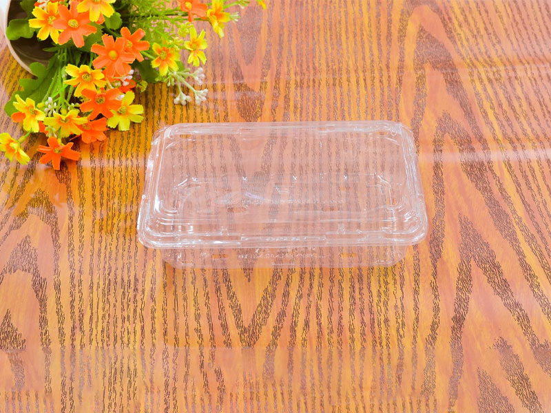  塑料制品：水果盒